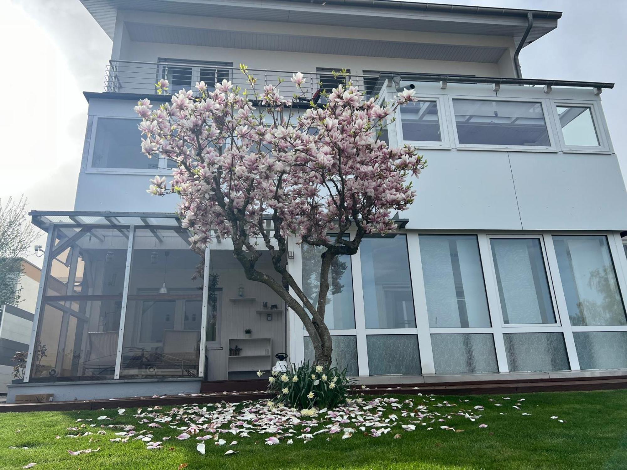 Ferienwohnung Schwarzwald Lodge Schömberg Exteriör bild